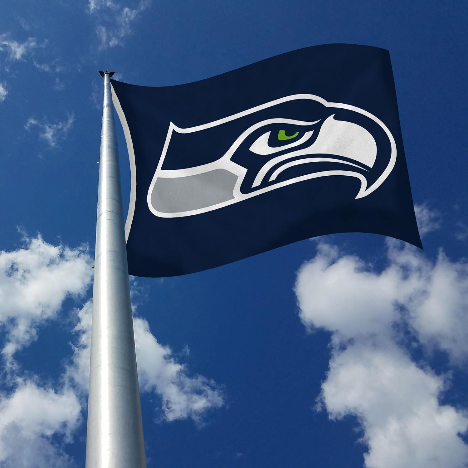 Seattle Seahawks Premium 3x5 Feet Flag Banner, Logo Design, Polyester, Metal Grommets, Officially Licensed