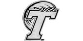 Tulane University Green Wave Premium Solid Metal Raised Auto Emblem Shape Cut Adhesive Backing, Officially Licensed