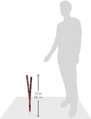 Arizona Cardinals Lanyard Keychain Double Sided Breakaway Safety Design Adult 18 Inch