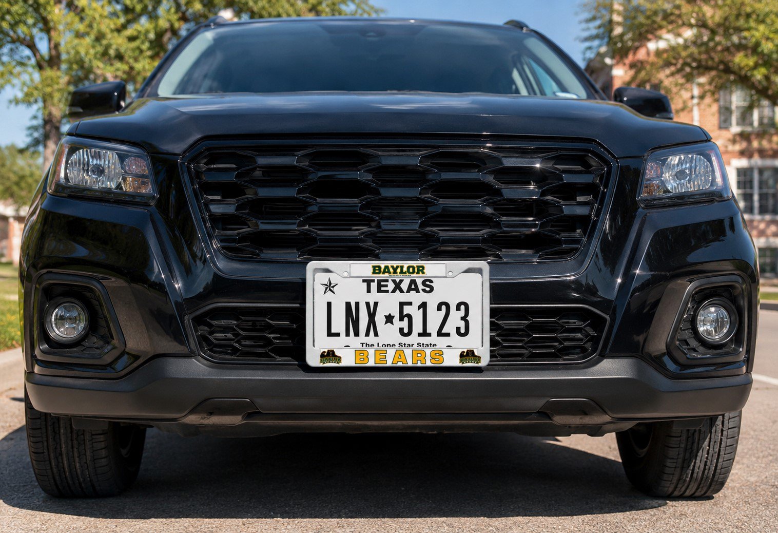 Baylor University Bears License Plate Frame Tag Cover, White Plastic, 12x6 Inch, Officially Licensed
