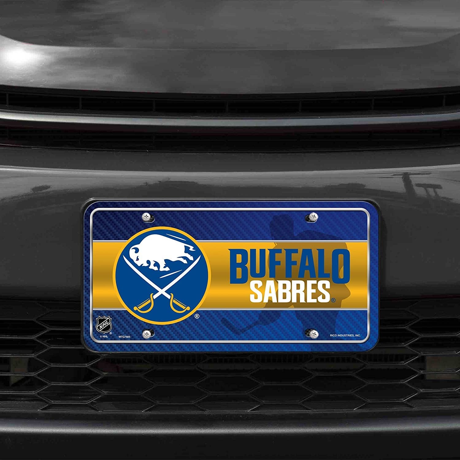 Buffalo Sabres Metal Auto Tag License Plate, City Design, 12x6 Inch