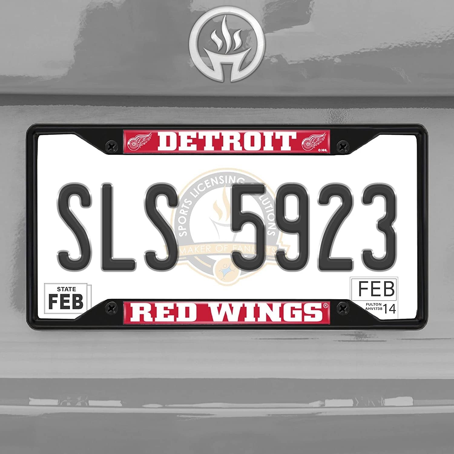 Detroit Red Wings Black Metal License Plate Frame Tag Cover, 6x12 Inch