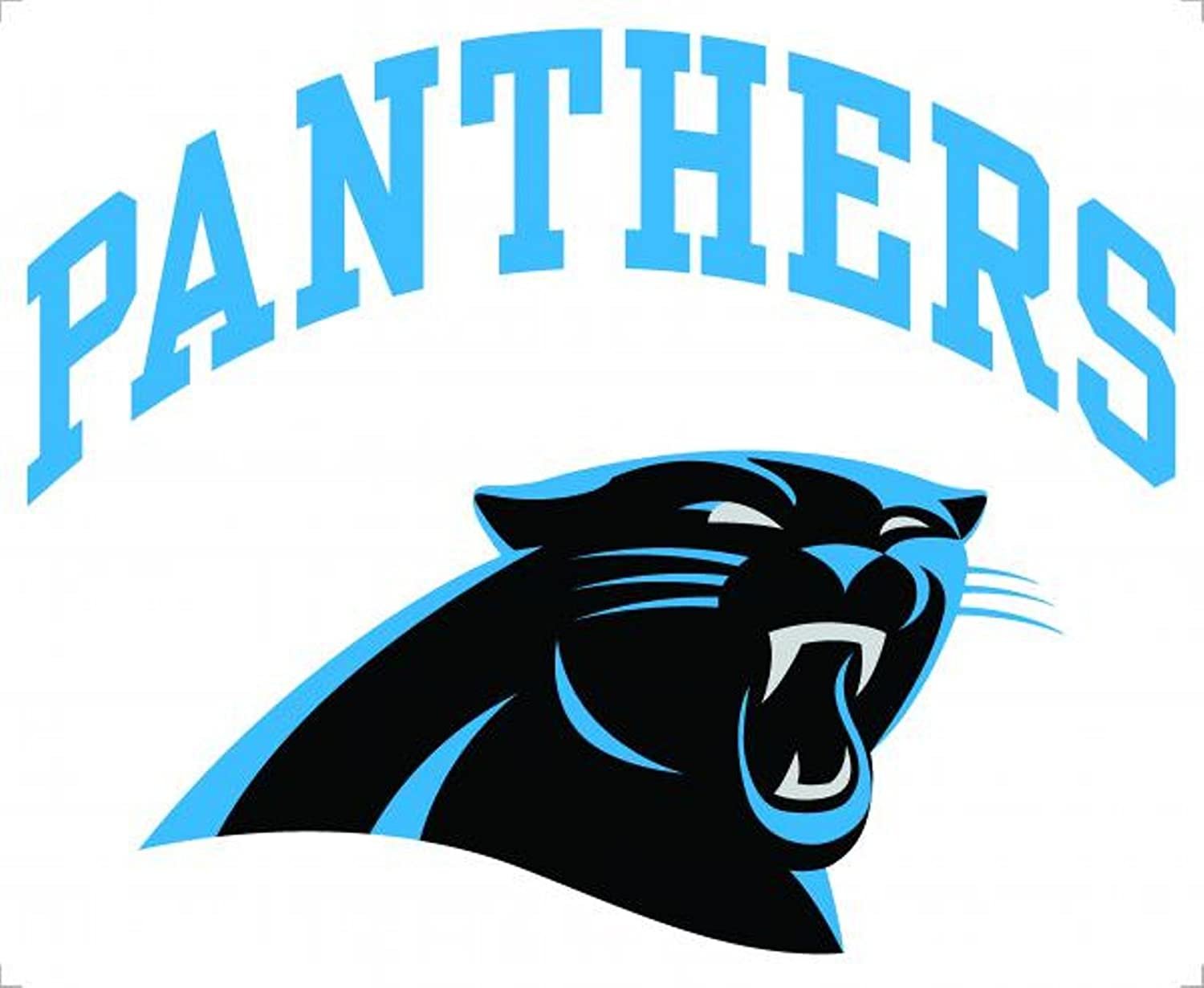 Carolina Panthers 8" ARCHED Decal Flat Vinyl Reusable Repositionable Auto Home Football