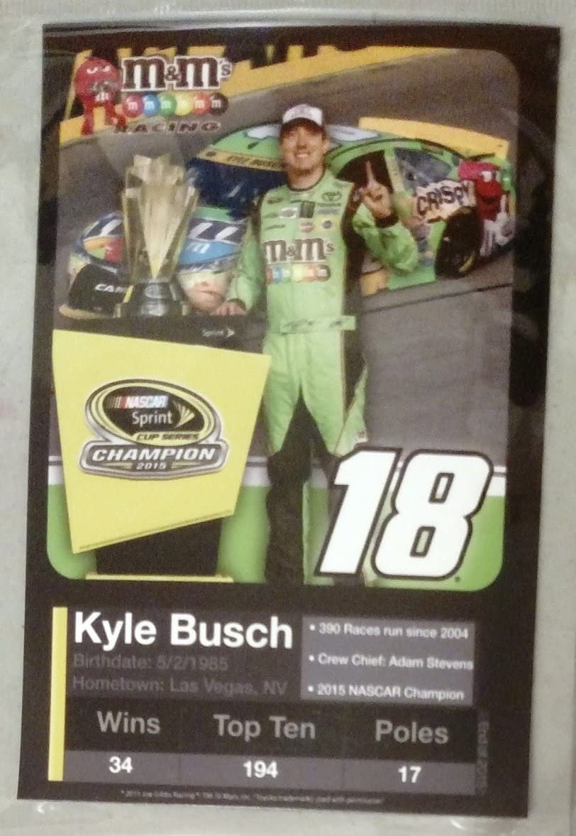 RR Kyle Busch #18 2015 Sprint Cup Champion 4"x6" Collector Stat Card Vinyl Magnet Home Auto Nascar Racing