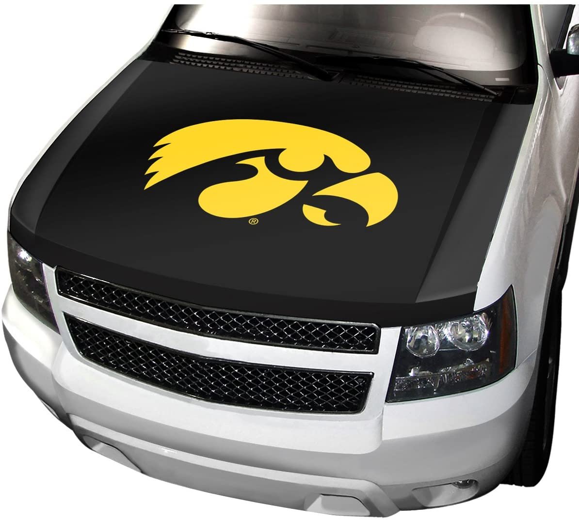 University of Iowa Hawkeyes Auto Hood Cover, One Size, One Color