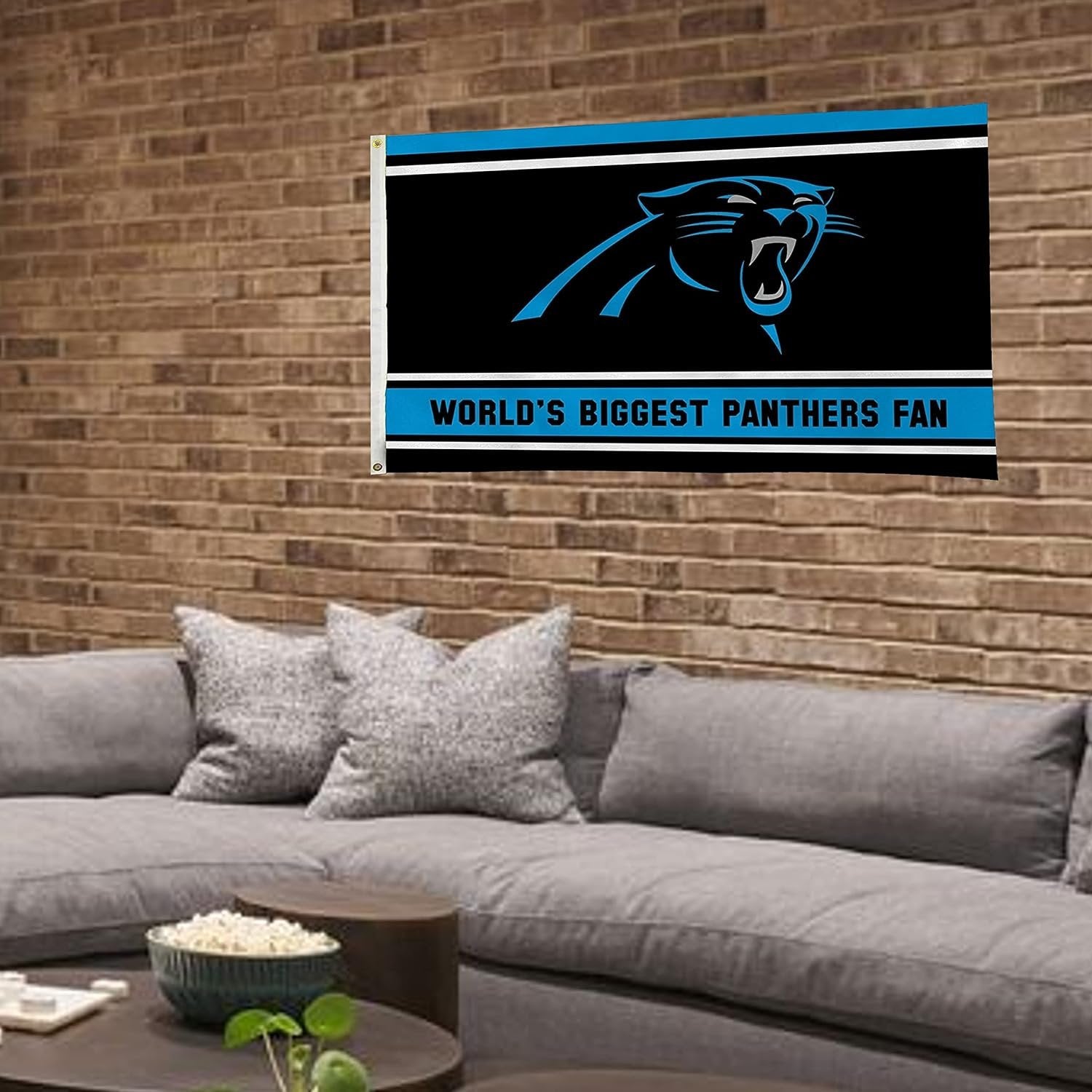 Carolina Panthers 3x5 Feet Flag Banner, World's Biggest Fan, Metal Grommets, Single Sided, Indoor or Outdoor Use
