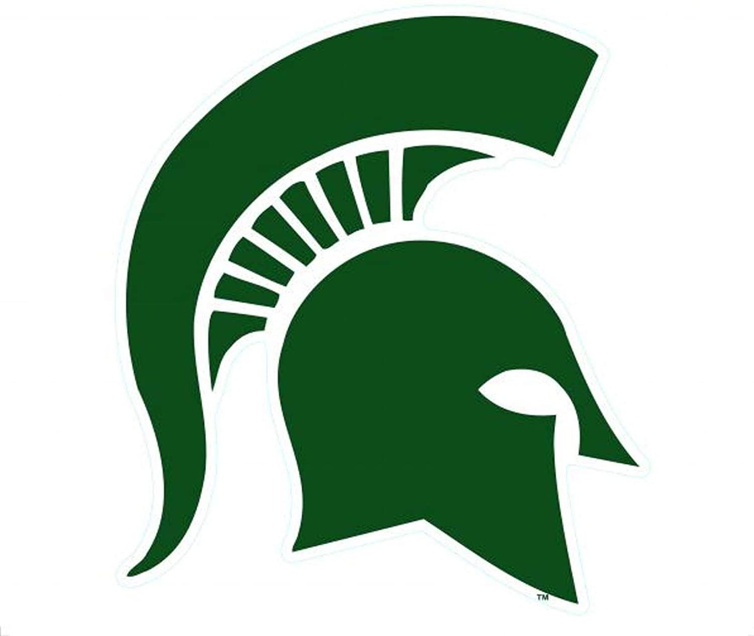 Michigan State University S04996 All Surface Decals