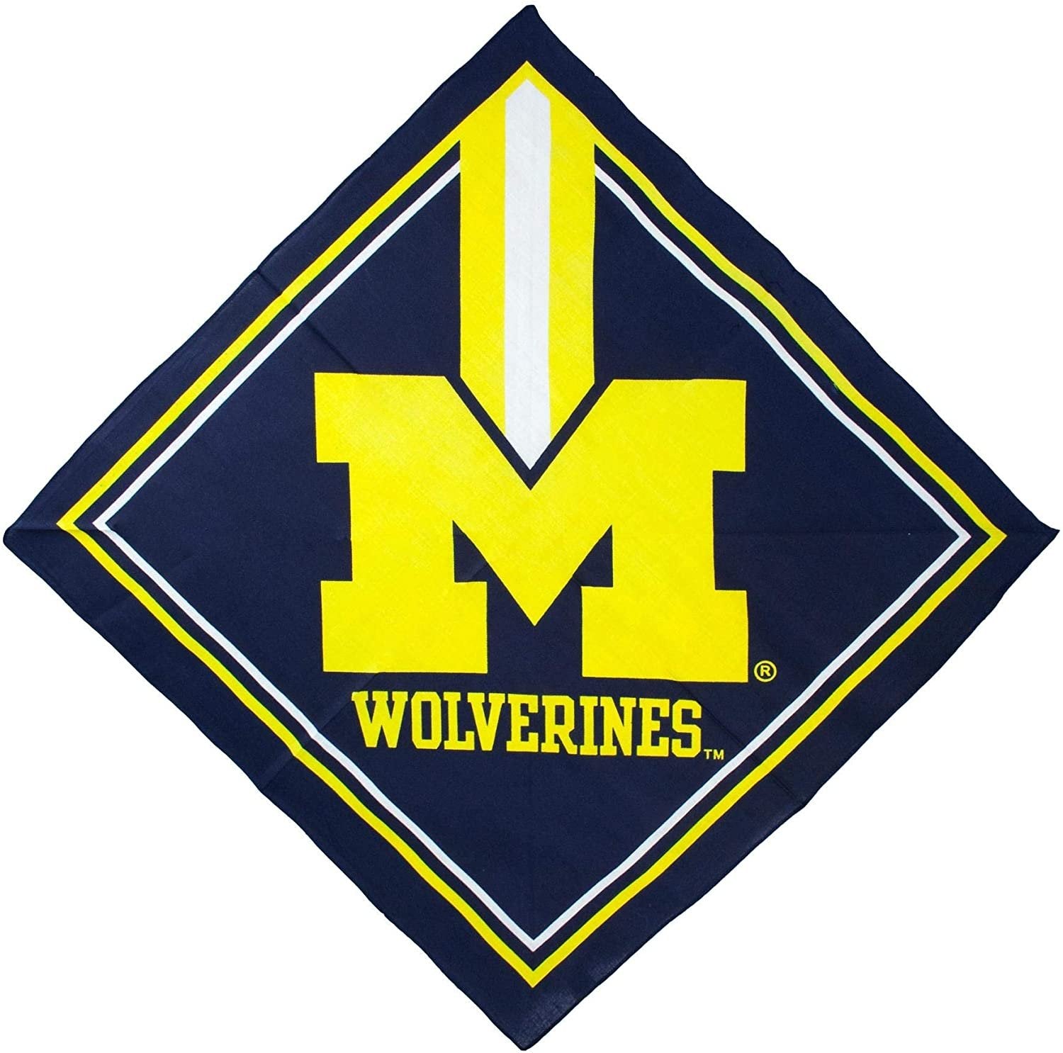 Littlearth NCAA Michigan Wolverines Team Fan Flag , 3.5" x .5" x 6", Team Color
