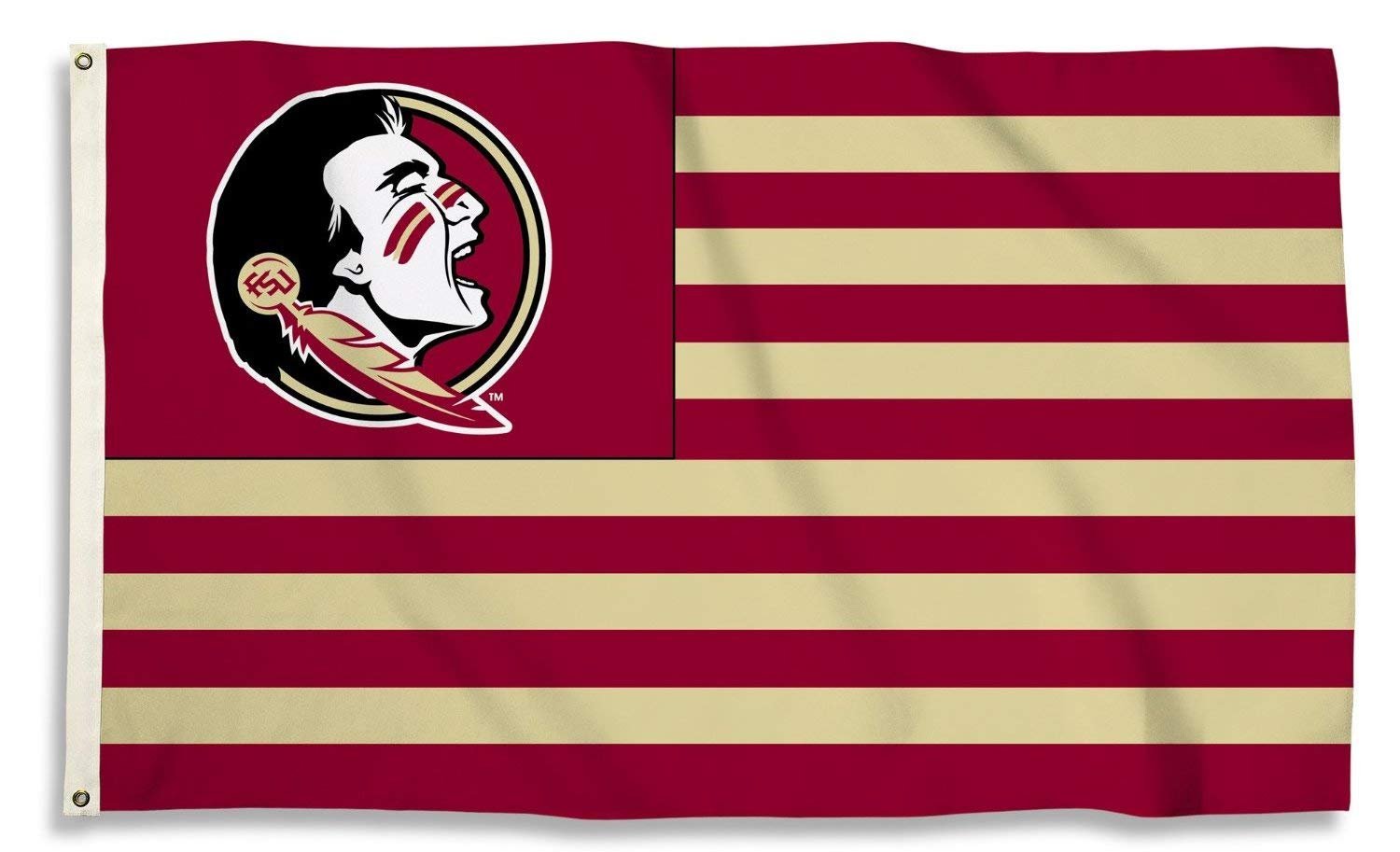 Florida State University Seminoles Premium 3x5 Feet Flag Banner, Country Design, Metal Grommets, Outdoor Use, Single Sided