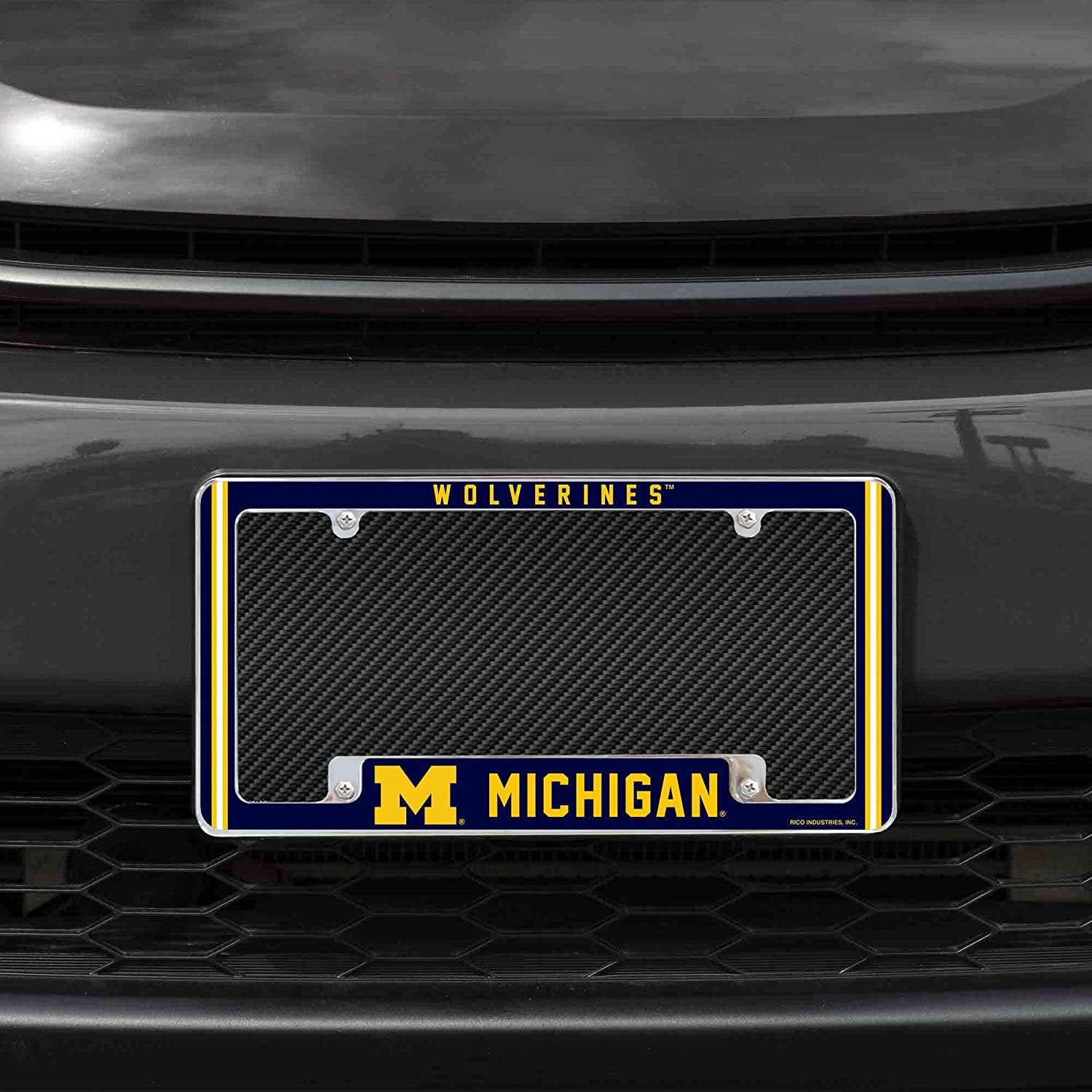 University of Michigan Wolverines Metal License Plate Frame Chrome Tag Cover Alternate Design 6x12 Inch