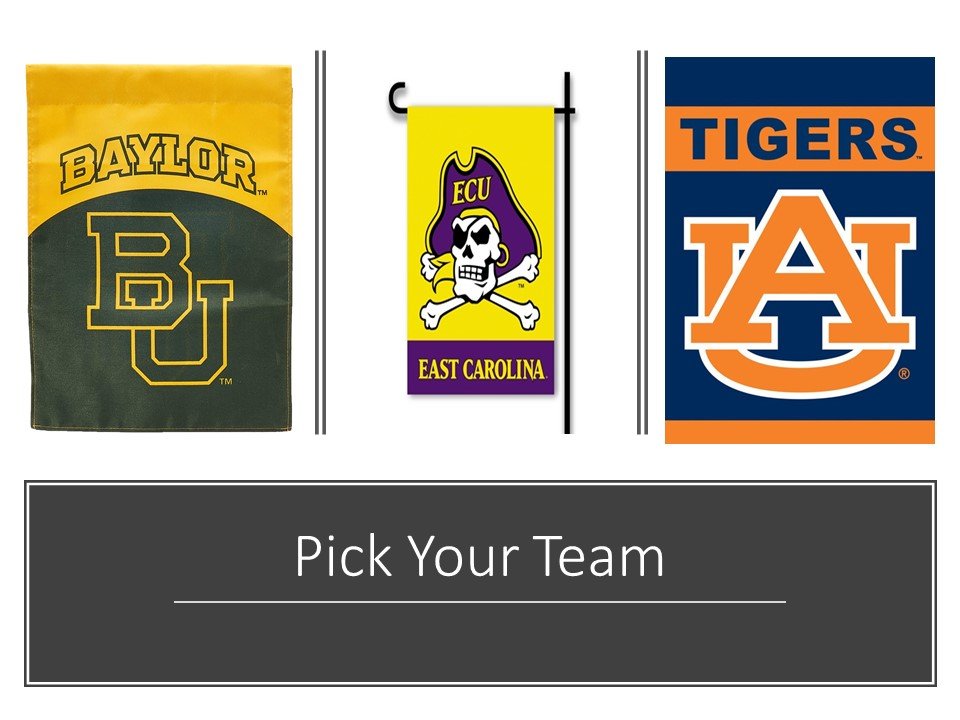 Clemson Tigers 2-Sided Garden Flag 13" x 18" University of