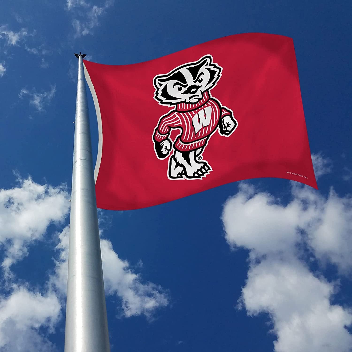 University of Wisconsin Badgers 3x5 Feet Flag Banner Metal Grommets Outdoor Indoor