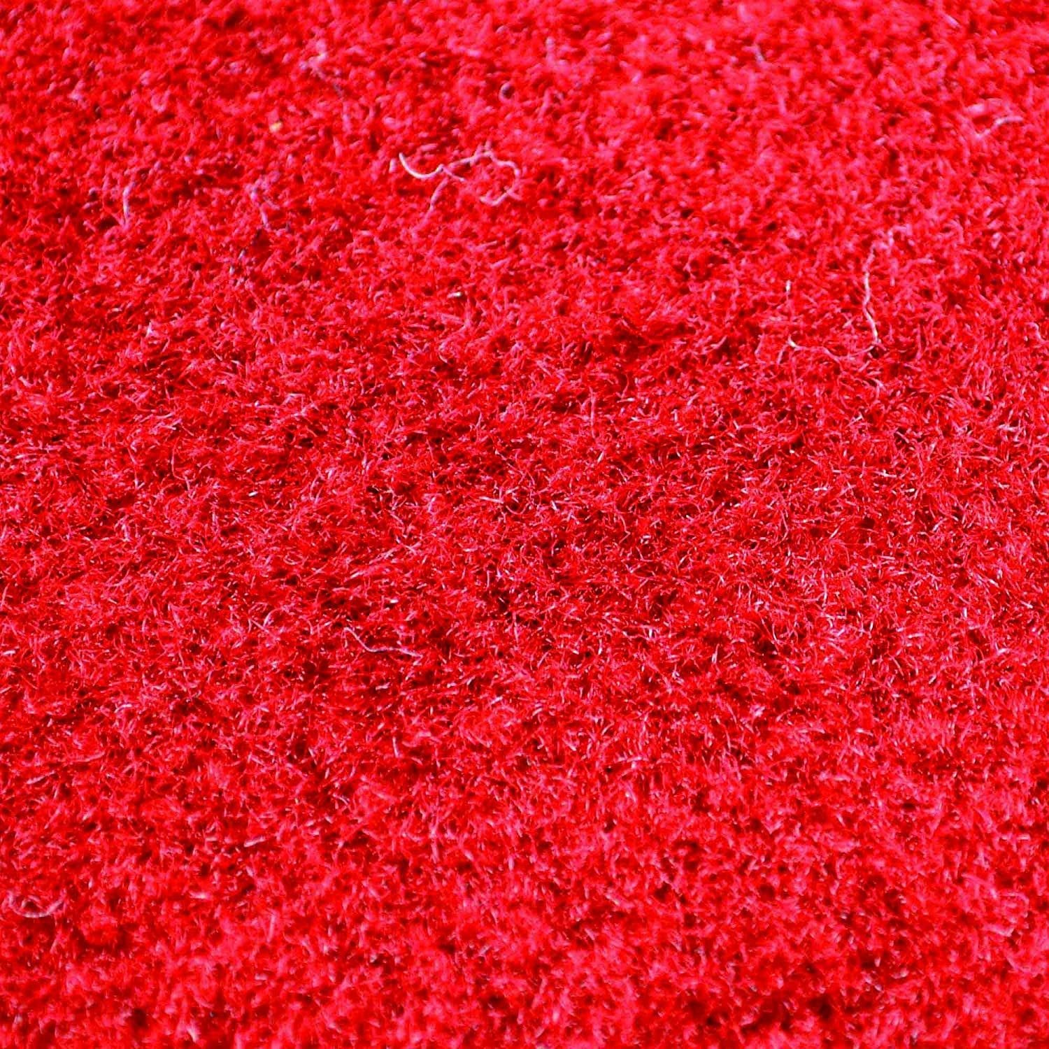 Arizona Cardinals Floor Mat Area Rug, 20x30 Inch, Nylon, Anti-Skid Backing