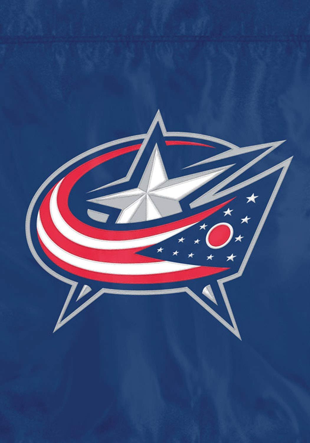 Columbus Blue Jackets Licensed NHL Garden/Window Flag Hockey 10.5" x 15"