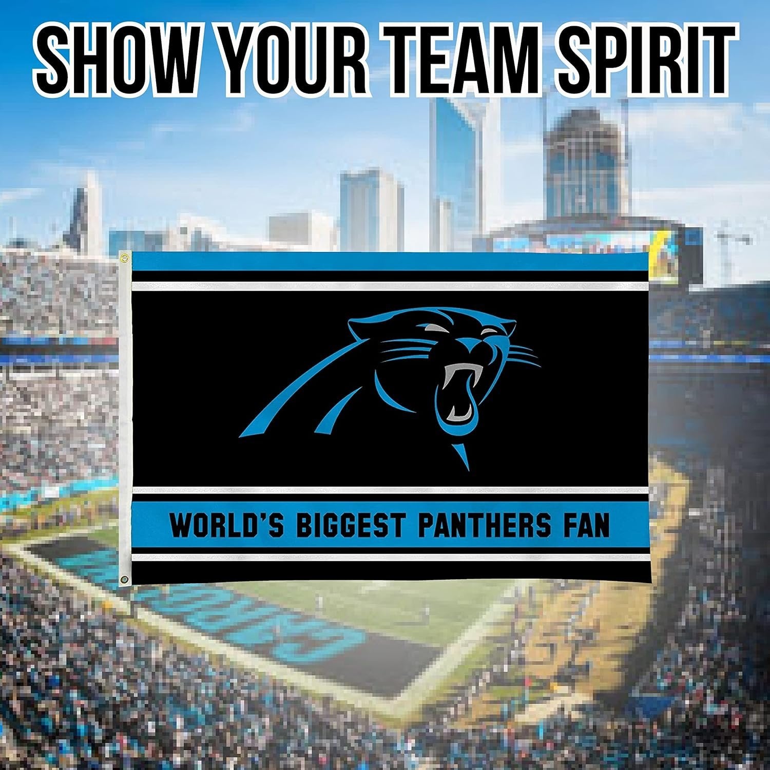 Carolina Panthers 3x5 Feet Flag Banner, World's Biggest Fan, Metal Grommets, Single Sided, Indoor or Outdoor Use